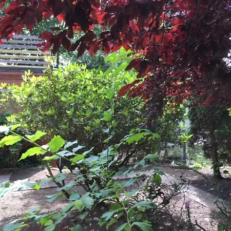 Muehlenweg- Tante Lise شقة