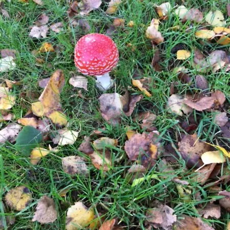 Muehlenweg- Tante Lise شقة