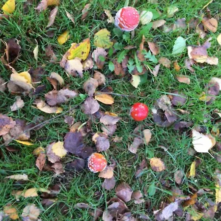 شقة Muehlenweg- Tante Lise