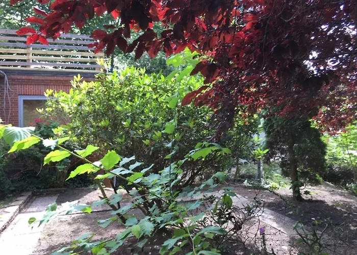 Mühlenweg- Tante Lise Apartamento